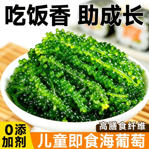 海葡萄儿童即食水葡萄海草孩子吃的健康零食儿童0添加低卡低脂