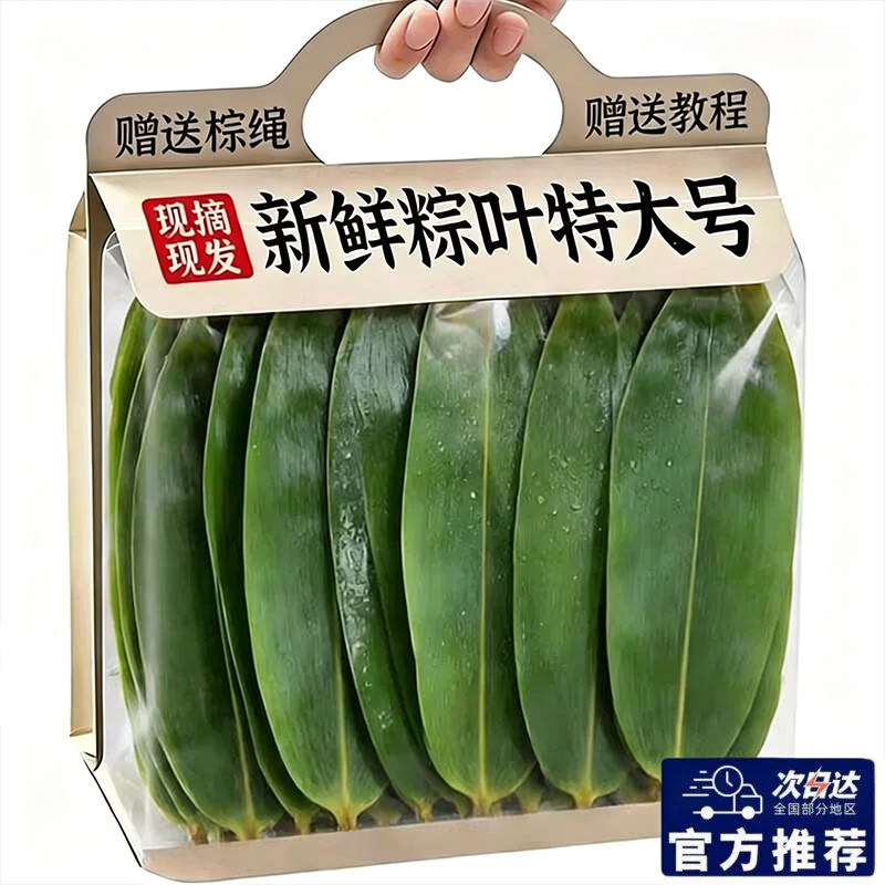 端午节粽叶特大号端午包粽子专用天然野生粽叶竹箬家用宽粽叶批发