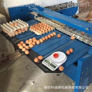 皮蛋分选机 鸡蛋鸭蛋量分级机VJC小型种重蛋分选机机精械分级准度