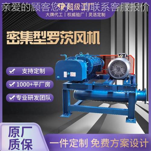 密集型罗茨风高机定密集型制 压风机 气力输送鼓 水处污理