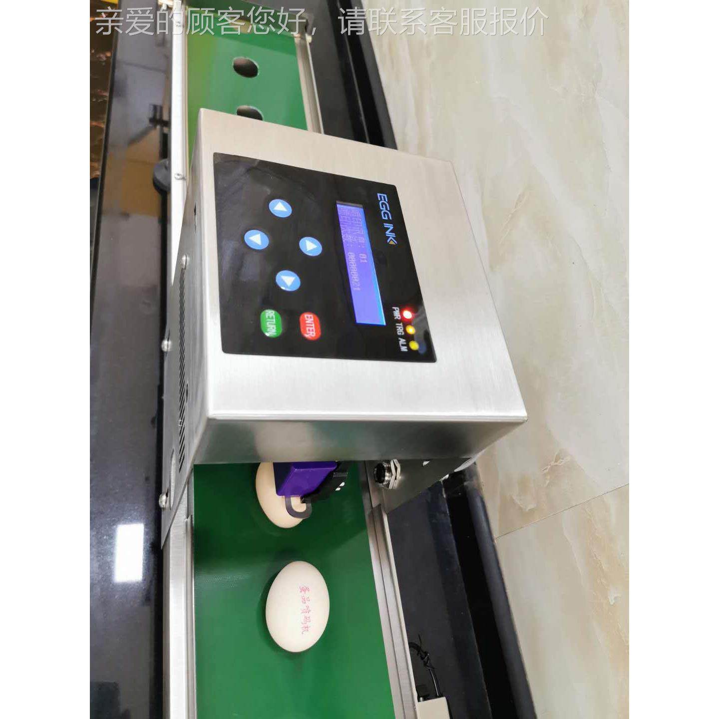 小型鸡蛋鸭蛋动上蛋自动清洗机 养生殖场鸡蛋鸭鹅蛋MAI自洗机 定