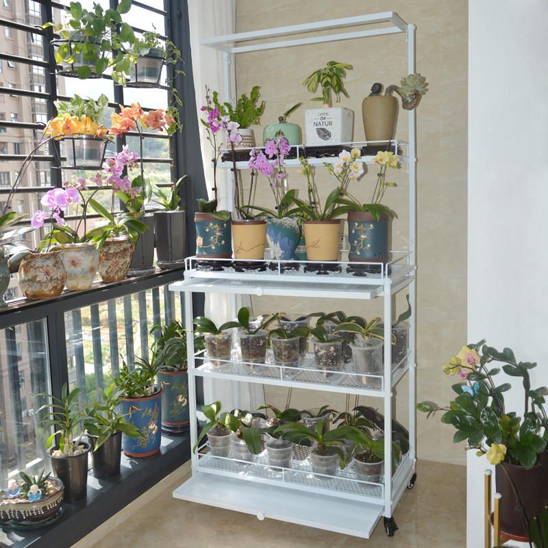 蝴蝶兰专用花架彩芋架带轮室内阳台客厅落地式石斛兰摆放架子展示