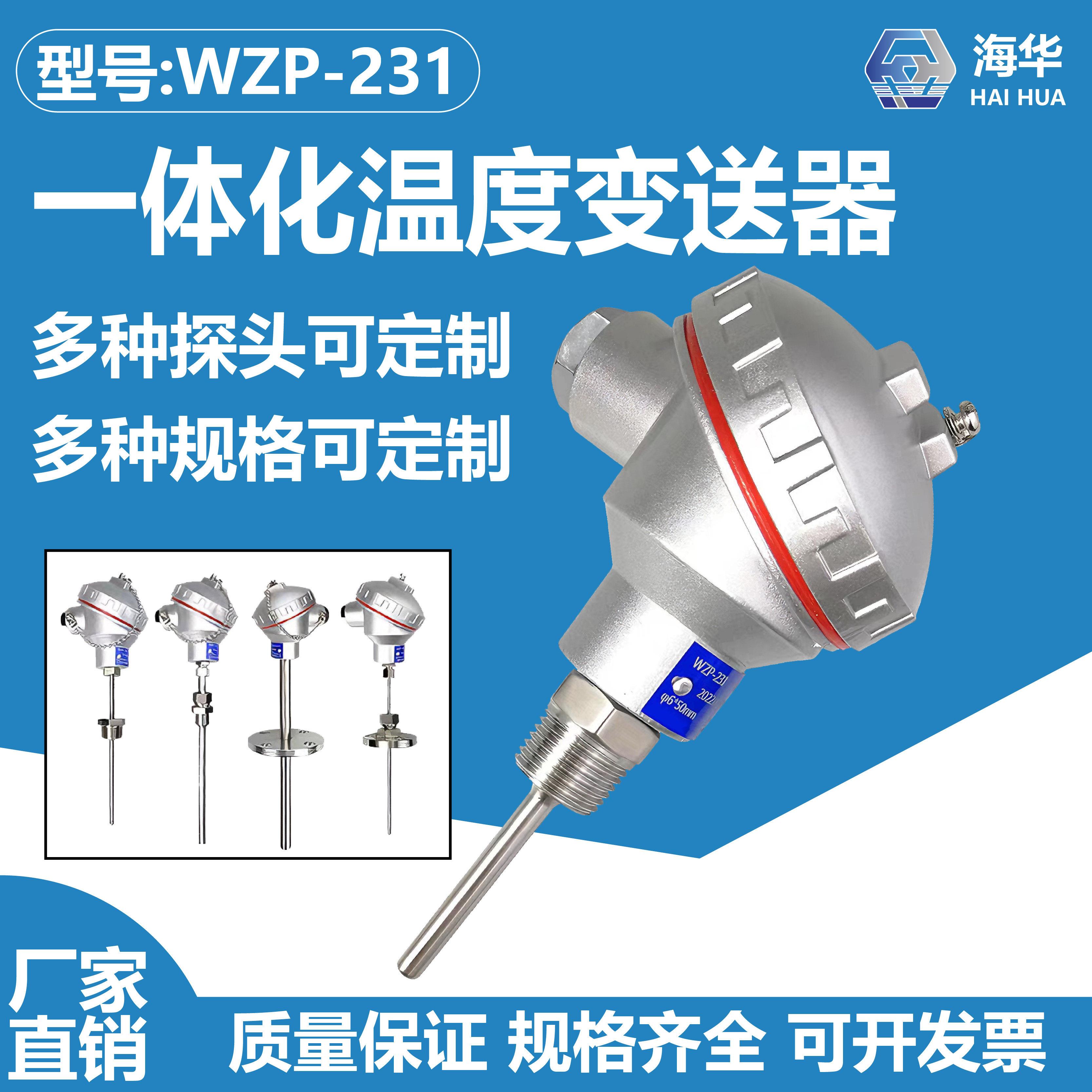Pt100防水测温监视器热电阻WZP-231一体化温度变送器感测器K热电