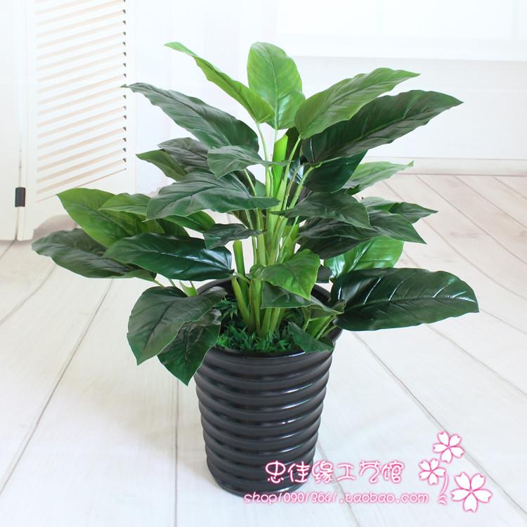 彷真植物盆栽塑料假花落地客厅办公室装饰滴水观音万年青绿色植物