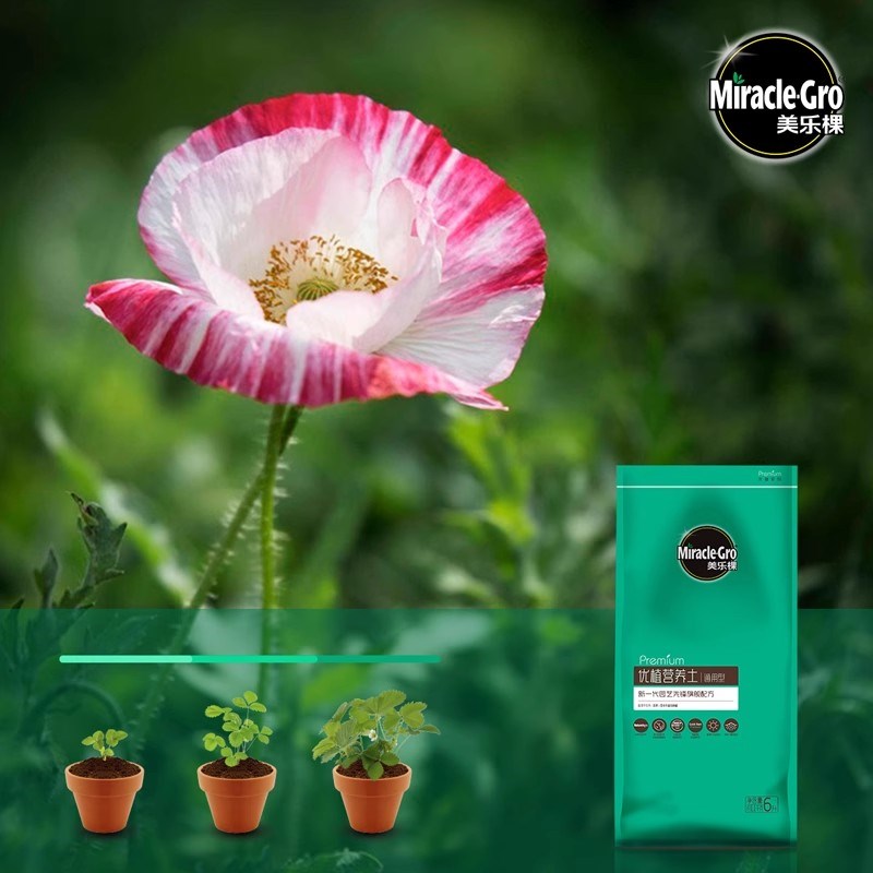 美乐棵优植营养土园艺家庭种植花卉绿植花泥土壤兰花多肉月季土壤