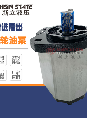 齿轮泵BHP3A0D100C0L1-R/D26/D33/D39/D46/D50/D55/D63/71C0L1-R