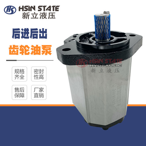 齿轮泵BHP3A0D100C0L1-R/D26/D33/D39/D46/D50/D55/D63/71C0L1-R