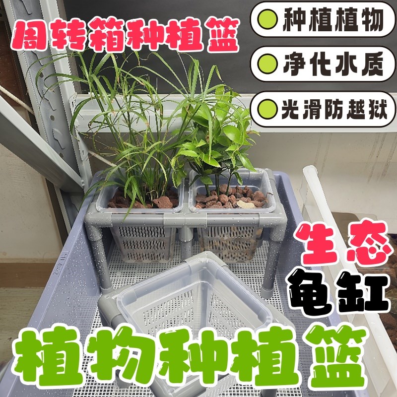 鱼缸水培篮水竹定植篮绿植盆栽托架生态龟缸造景装饰周转箱乌龟缸图片