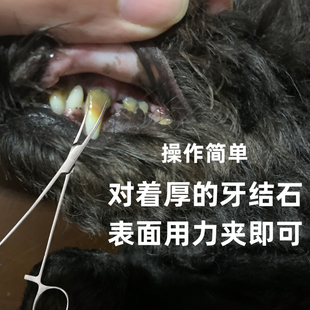 狗狗去牙结石工具除牙齿牙垢清洁钳子止血钳搭配宠物超音波洗牙器