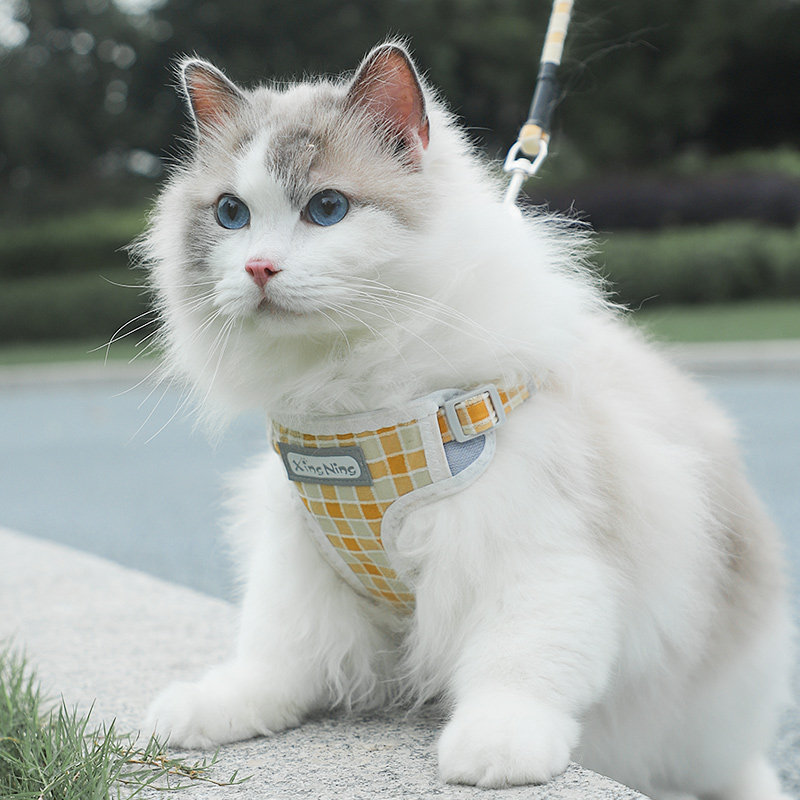 猫咪格子牵引绳背心式百搭绳防挣脱可爱外出猫咪牵引绳遛猫绳子夏,宠物/宠物食品及用品,猫牵引绳,淘宝优惠券,粉丝福利购,淘宝优惠卷