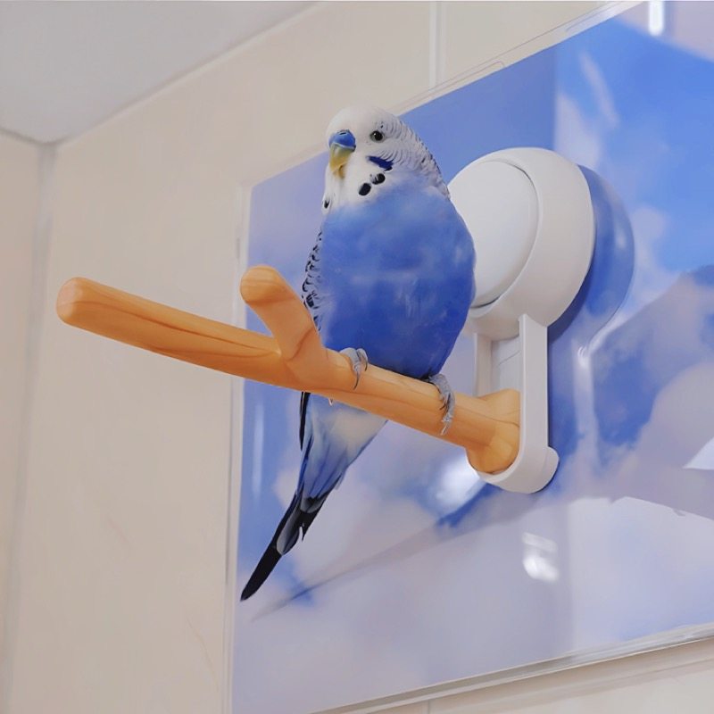 鹦鹉站架真空吸盘牡丹玄凤虎皮鸟站架可携式站杆外出鹦鹉玩具包邮,宠物/宠物食品及用品,鸟玩具,淘宝优惠券,粉丝福利购,淘宝优惠卷