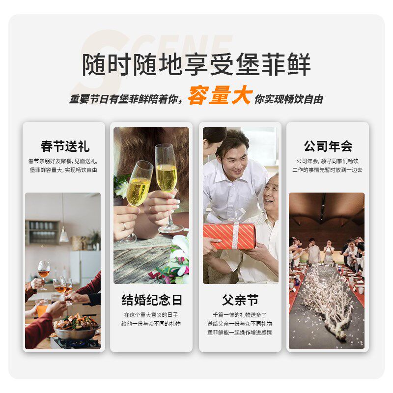 堡菲鲜精酿啤酒小型家用酿酒机一体化不锈钢自酿发酵罐3升5升容量