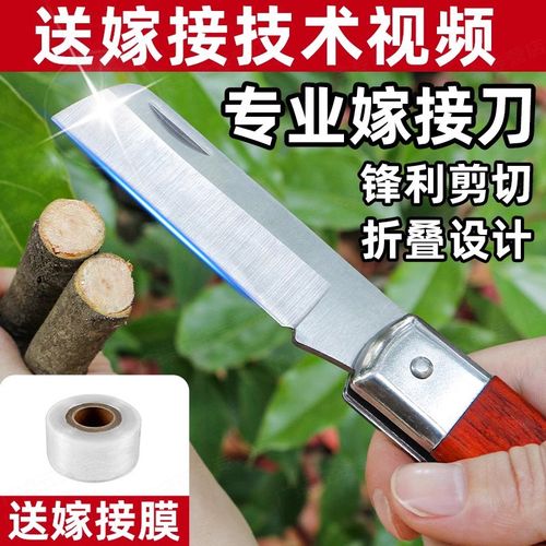 可折叠果树嫁接专用刀膜嫁接工具神器全套大树接树架接手工刀果树