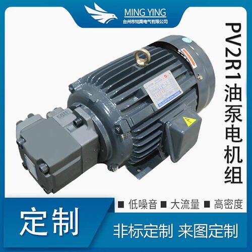 液压油泵电机组PV2R1+2.2kw液压泵总成7.5内轴电机液压站配件系统