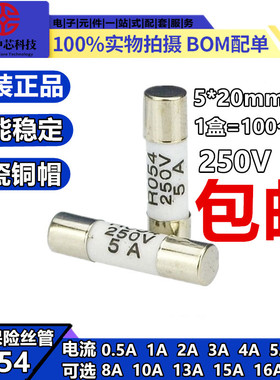 R054 RO54 5x20mm陶瓷保险丝管0.5A1A2A34A5A6A8A10A13A15A16A20A