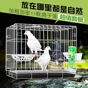 鴿子籠配對籠繁殖鴿子籠家用養殖鴿子籠折疊加密籠運輸鴿籠可