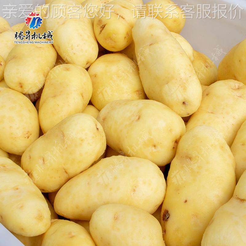 土厂家现 机豆去VVV机 皮滚筒花生清洗机