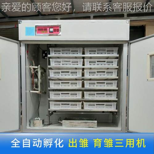全动器智能自鸡鸭鹅蛋孵蛋 1056孵化机中 小型家用致富TBB小鸡孵