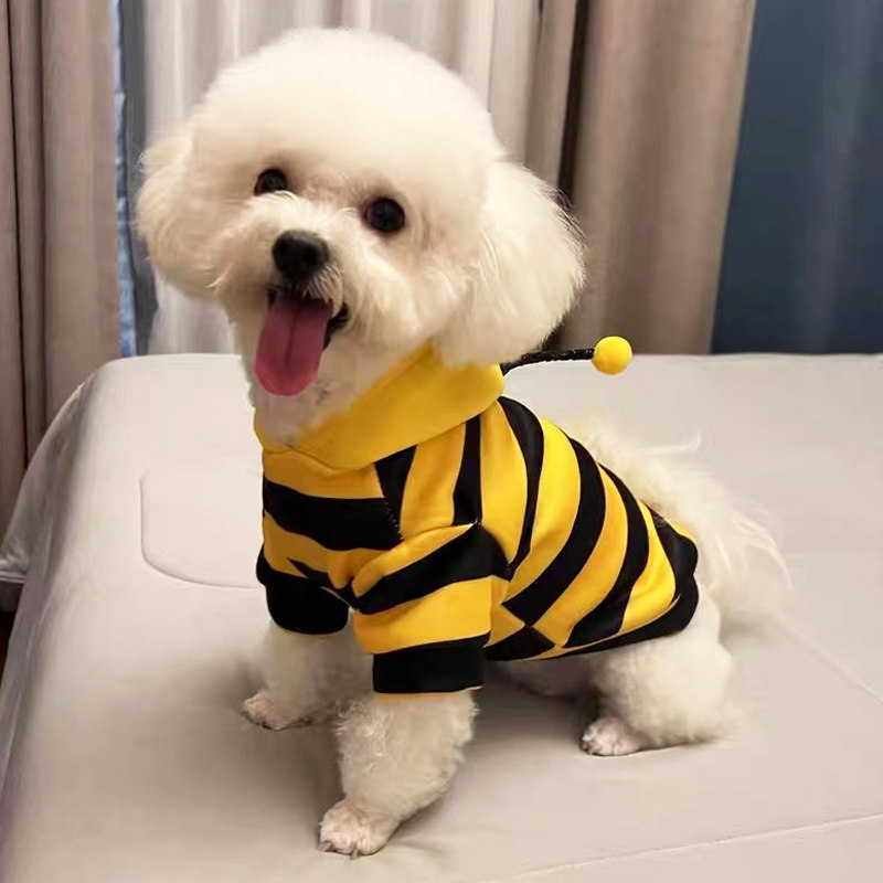 狗狗衣服春秋款蜜蜂装小