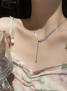 网红麦穗可调节锆石项链女时尚新款小众设计颈链气质高级感锁骨链