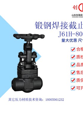 焊接/丝扣锻钢不锈钢铬钼钢截止阀J61H/Y-800LB螺纹电站高温
