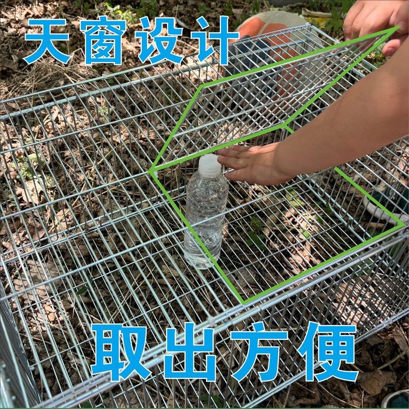 鸽子诱捕器捕野鸽子神器天落笼加密只进不出撞门笼户外自动收鸽