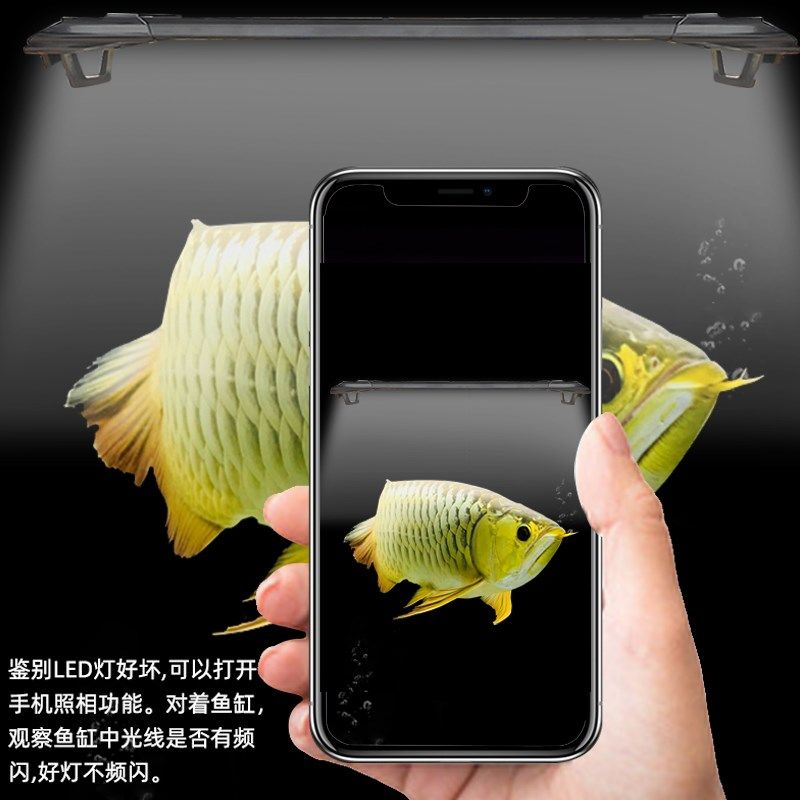 全光谱LED黄白混合光金龙鱼虎鱼黄色鹦鹉黄色锦鲤水陆两用鱼缸灯