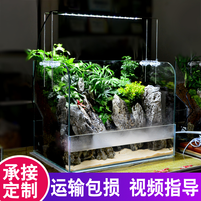 吉景佳水陆缸造景套餐超白鱼缸生态缸两栖乌龟缸微景观植物雨林缸