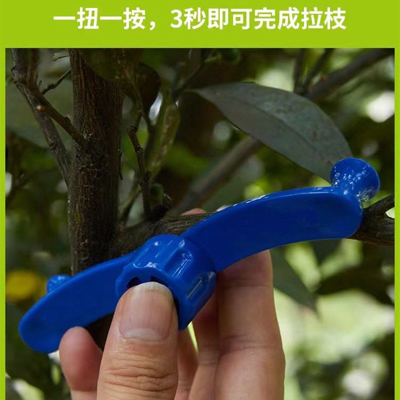 拉枝定型器盆景造型工具拿弯器植物树枝条固定弯枝苗木果树压枝器,鲜花速递/花卉仿真/绿植园艺,其它园艺用品,淘宝优惠券,粉丝福利购,淘宝优惠卷