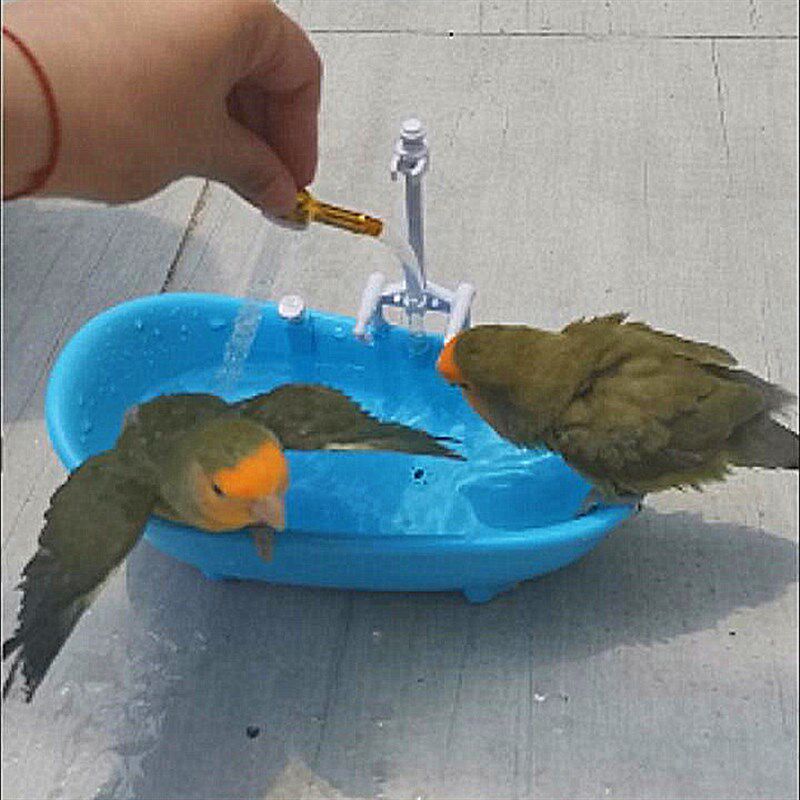 仓鼠青蛙乌龟鹦鹉文鸟小宠物洗澡沐浴浴缸浴室浴房浴盆电动喷水,宠物/宠物食品及用品,浴房/厕所,淘宝优惠券,粉丝福利购,淘宝优惠卷