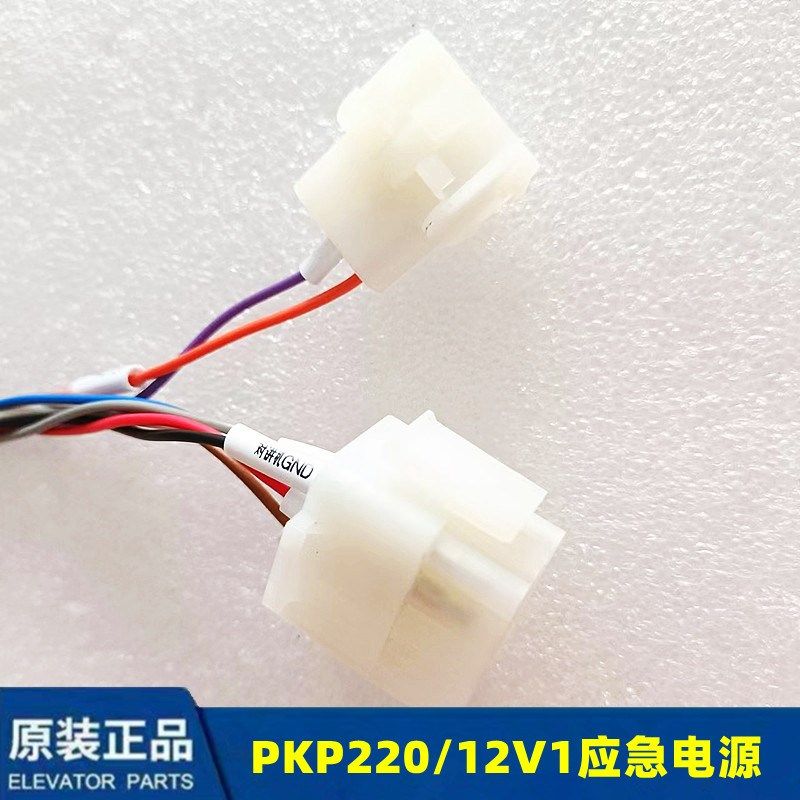 杭州西奥应急电源PKP220/12V1 PKP220/12Q 电梯对讲专用电源配件