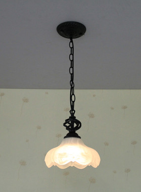 欧式卫生间吊灯玄光灯led灯 黑色铁艺创意玻璃单个阳台灯小吊灯