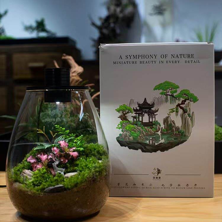「空城里」苔藓微景观创意桌面造景植物摆件礼物生态瓶diy材料