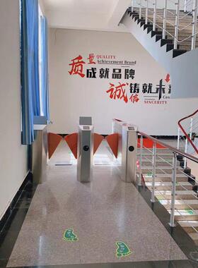 ESD防静电翼闸摆闸三辊闸显示阻值门禁系统无尘车间手脚检测消除