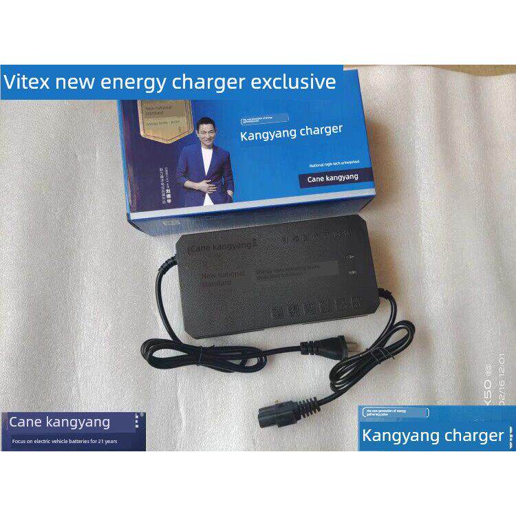 电动汽车48V60V72V康阳新国标智能关机自动关机快充快速充电器