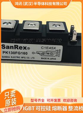 三社可控硅模块PK40F160 PK55FG160 PK110F-160 PK200HB160晶闸管