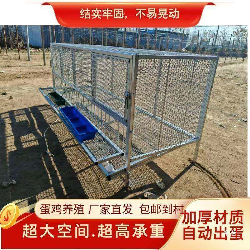 鸡笼子家用户外养殖笼大鸡笼乡下外部捡鸡蛋笼子自动出蛋鸡笼加大