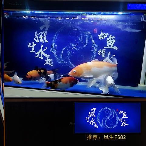 鱼缸背景画贴纸高清3dq立体水族箱加厚背景纸壁纸图造景珊瑚装饰