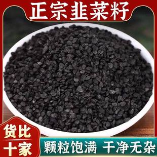 野生韭菜籽中药材炒熟的功效官方旗舰店老品种久艽韭菜子粉枸杞茶