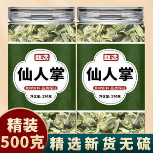 仙人掌药用可食用中药材500g克正品无刺仙人掌干仙巴掌粉干货泡水