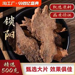 内蒙古阿拉善锁阳500g男滋补泡酒料金锁阳可搭非野生淫羊藿肉苁蓉