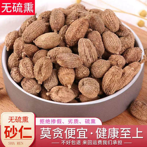 正宗广东砂仁500g新货干品