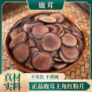 鹿茸片材正宗新货干血片新鲜鹿茸泡酒泡水专用鹿角红粉片