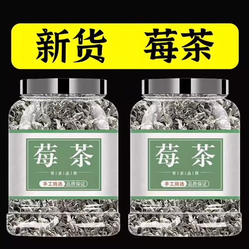 莓茶湖南永顺张美丽家界官