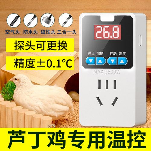 芦丁鸡饲养电子温控仪箱子育雏数显晶智能温控器温度控制关