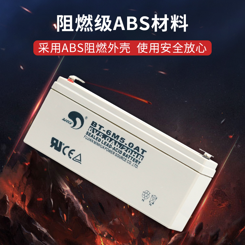 赛特BTM5.T  5H蓄电池台秤天平称电子称免维护蓄电池