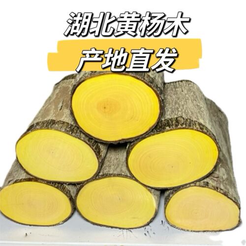 山黄杨木产地湖北大叶黄杨木雕刻工艺品笔筒家具底座镶嵌