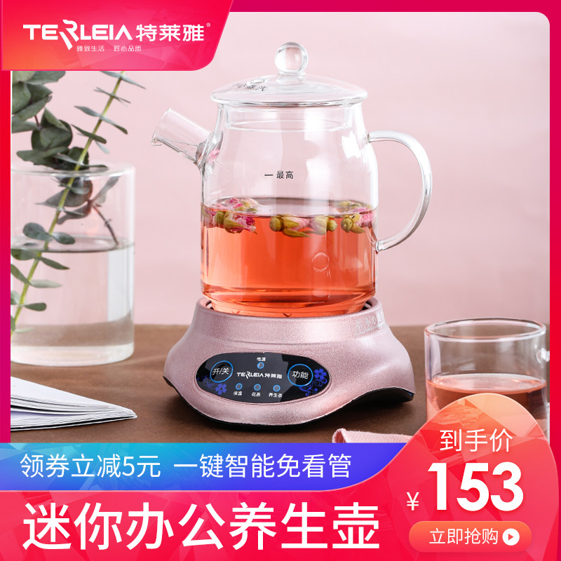 特莱雅全自动加厚小型养生壶黑茶煮茶器迷你办公室养身煮茶壶