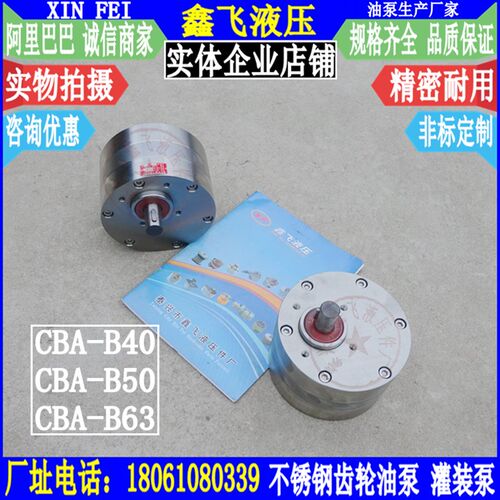 CBA-B40 B50 B63不锈钢油泵 化工泵 食品泵 耐磨损酸碱齿轮泵
