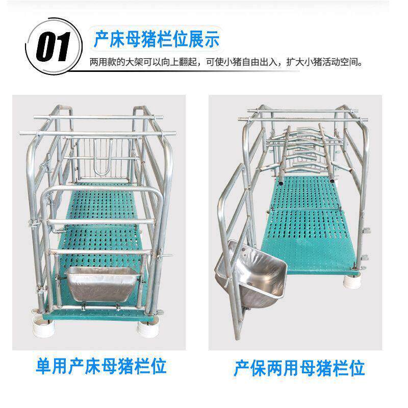 新款加厚双体母猪产床保育床一体产保两用产床猪用产保单体一整套